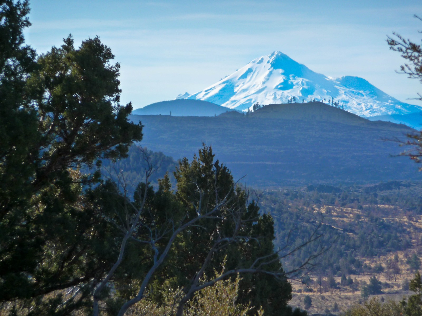 Snow-covered Mount Shasta on the horizon beyond dark lava flows and juniper scrub, viewed from Schonchin Butte in Lava Beds National Monument