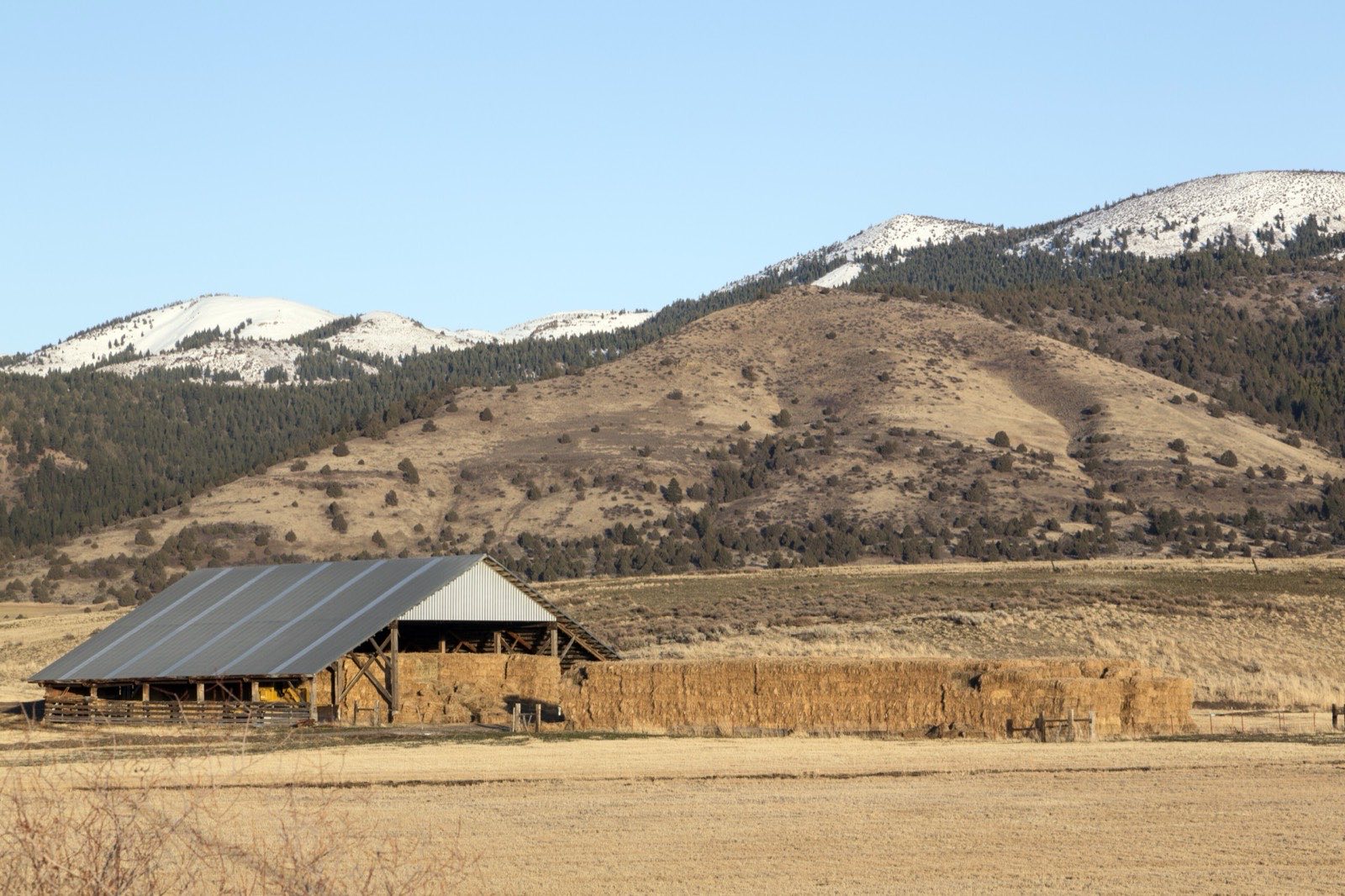 An open hay barn and long rows of stacked hay bales in dry Modoc County ranchland, with snow-capped hills in the distance