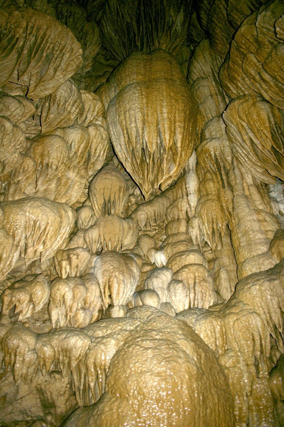 Tiers of golden flowstone drapery formations covering the walls of the Paradise Lost chamber inside Oregon Caves National Monument