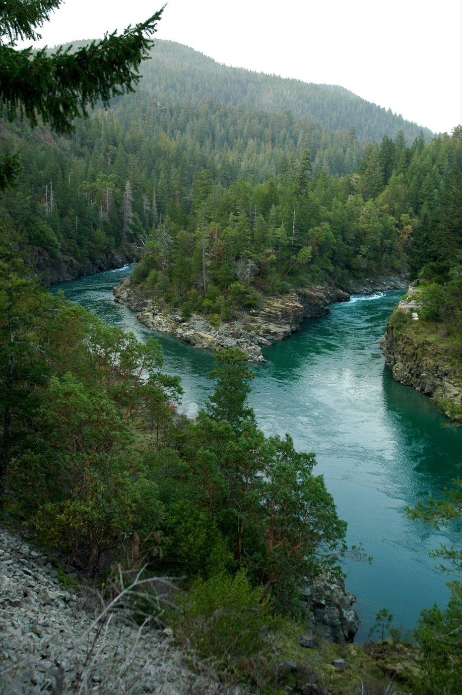 Two forks of the emerald-green Smith River meeting around a rocky, forested point, with conifer-covered canyon slopes rising behind